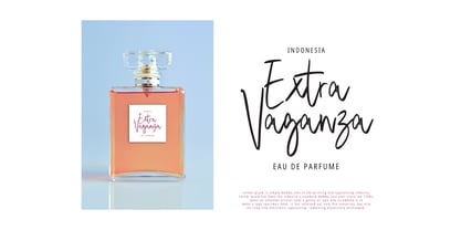 Sure Thing Signature Font Poster 2