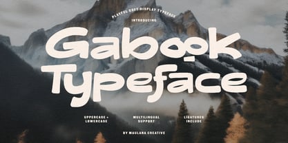 MC Gabook Font Poster 1