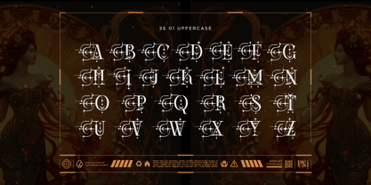 Starust Font Poster 6