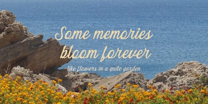 Quiet Garden Font Poster 6