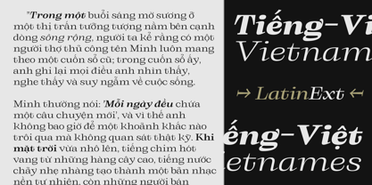 Binetra Font Poster 6