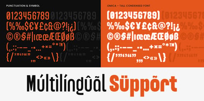 Omica Font Poster 12