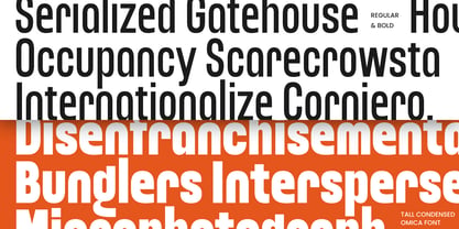 Omica Font Poster 5