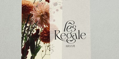LT Rogile Font Poster 11