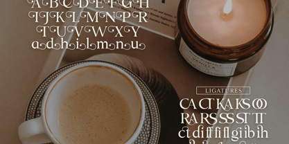 Vihaura Font Poster 4