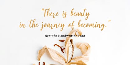 Nestafin Font Poster 4