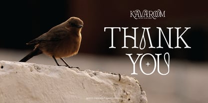 Kavaroom Font Poster 10