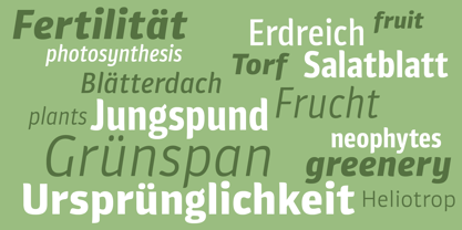 Plantago Font Poster 2