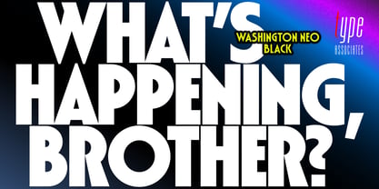 Washington Neo Font Poster 10