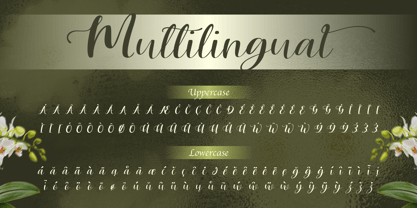 Lisaline Font Poster 10