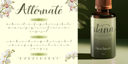 Lisaline Font Poster 6