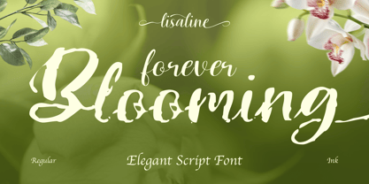 Lisaline Font Poster 11