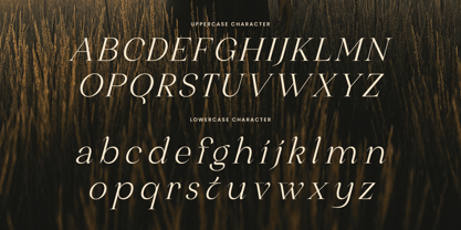 Warlod Font Poster 10