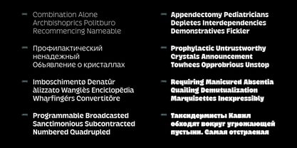 Krause Variable Font Poster 5
