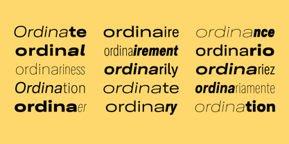 Ordina Font Poster 2