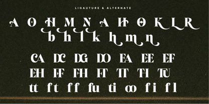 Helonea Font Poster 10