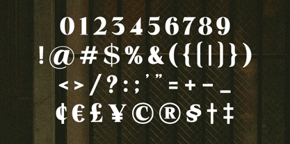 Helonea Font Poster 11