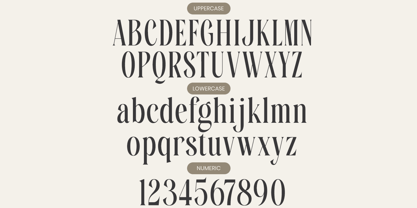 Mafesta Font Poster 9