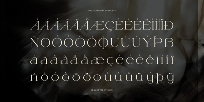Fauden Font Poster 11