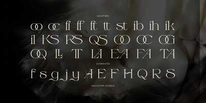 Fauden Font Poster 12