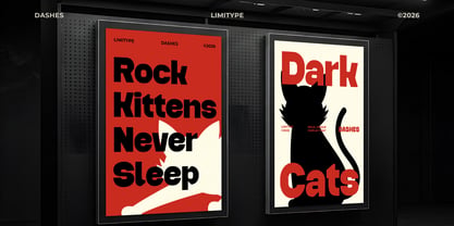 Dashes Font Poster 6