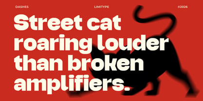 Dashes Font Poster 2
