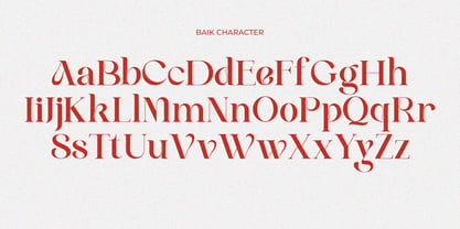 Baik Font Poster 9