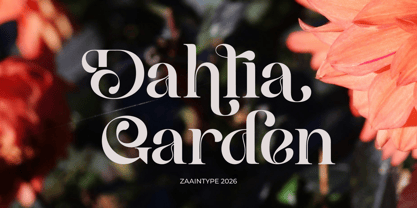 Baik Font Poster 7