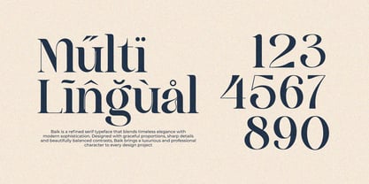 Baik Font Poster 10