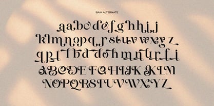 Baik Font Poster 4