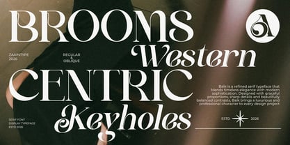 Baik Font Poster 3