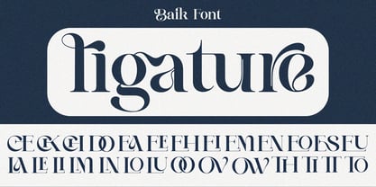 Baik Font Poster 6
