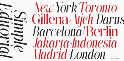 The Simple Editorial Font Poster 9