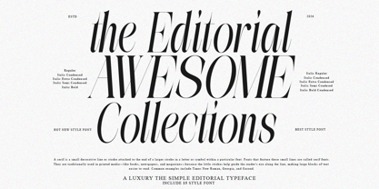 The Simple Editorial Font Poster 3