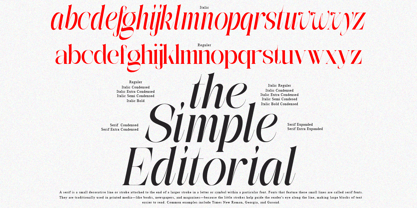 The Simple Editorial Font Poster 5