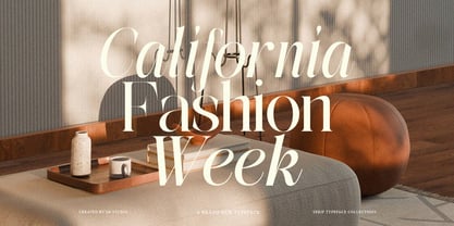 The Simple Editorial Font Poster 6