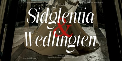 The Simple Editorial Font Poster 8