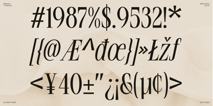 Rekogil Font Poster 10