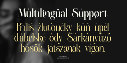 Sinvia Font Poster 11