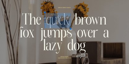 Sinvia Font Poster 9