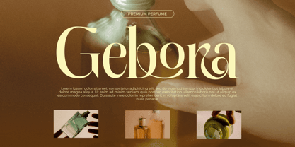 Sinvia Font Poster 7