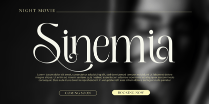 Sinvia Font Poster 3
