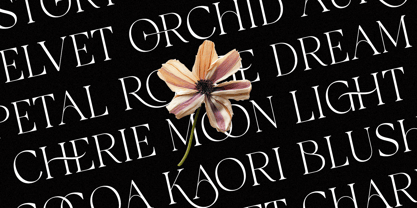 Galvore Font Poster 3