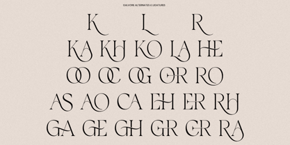 Galvore Font Poster 9