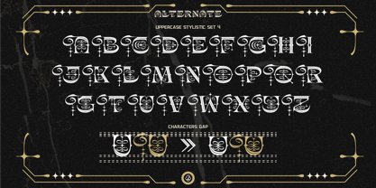 Shinery Loud Font Poster 9