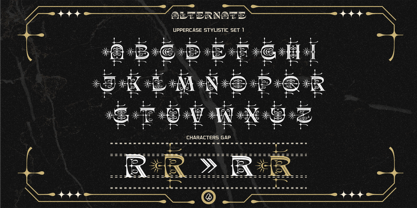Shinery Loud Font Poster 7