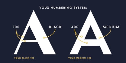Voux Font Poster 10