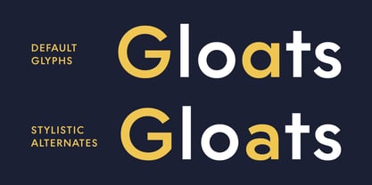 Voux Font Poster 12