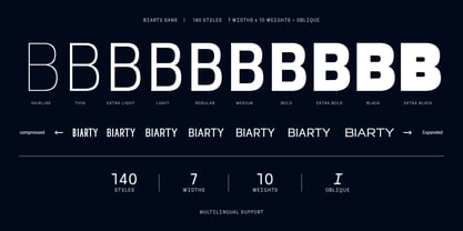 Biarty Sans Font Poster 6