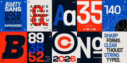 Biarty Sans Font Poster 3